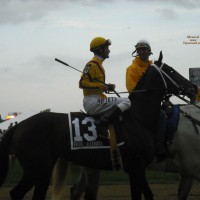 2009 Preakness Fillies