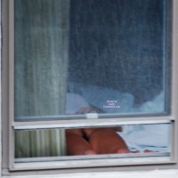 Motel Window And Thong At The Zoo.