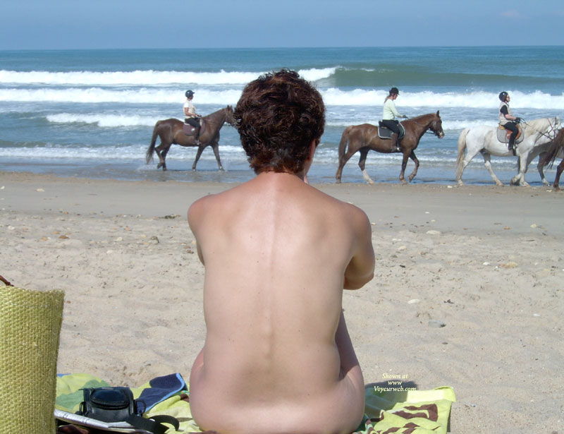 Pic #1 *PL Sea Sex Sun And Horses