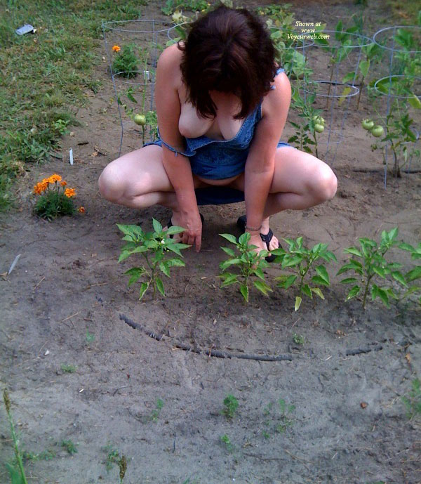 Pic #1 Skylar&#39;s Garden