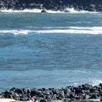 Pic #1 Beach Gals With My 400 mm Lens