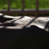 Nude At A Friend&#39;s Pool # 1