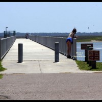 Beach Voyeur:&nbsp;Beach Comber