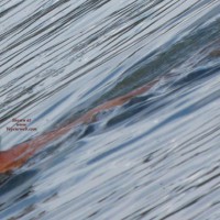 Beach Voyeur:&nbsp;Slovenian Coast 10