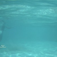 Underwater At A Nude Hawaii Beach 2