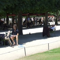 Paris Jardin Des Tuileries