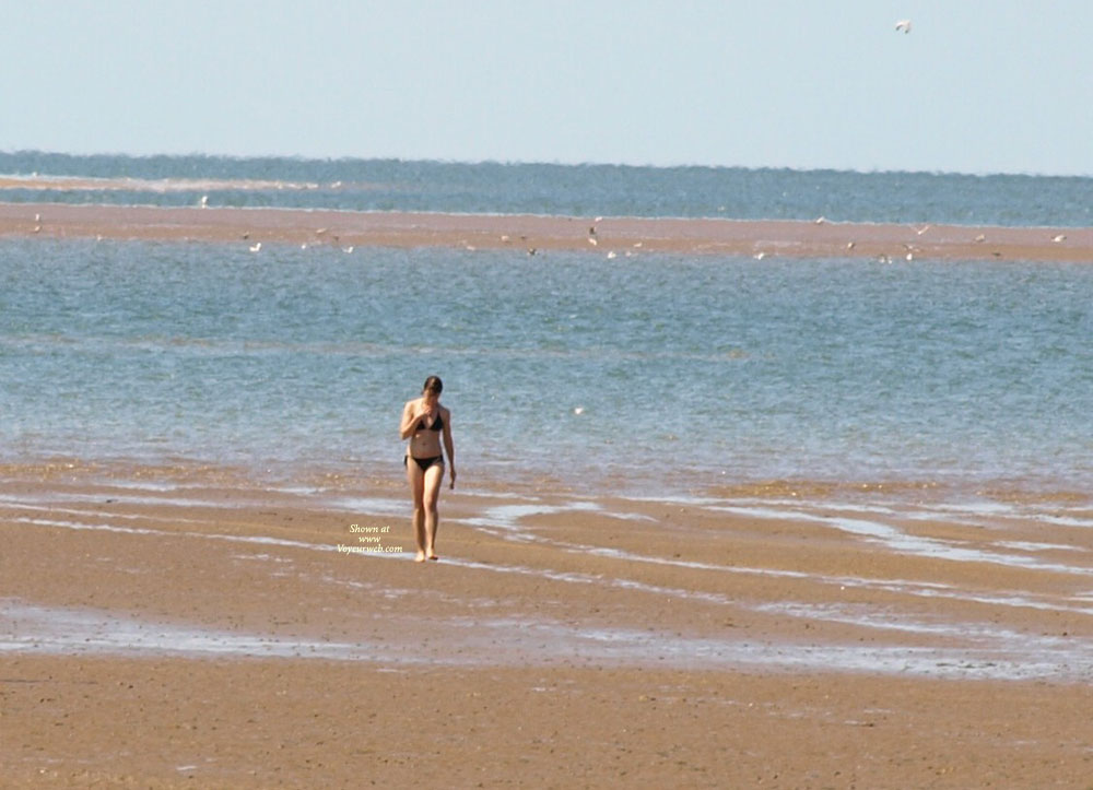 Pic #1 Beach Shots From Sunny Hunnie