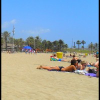 A Day At Barcelona Beach