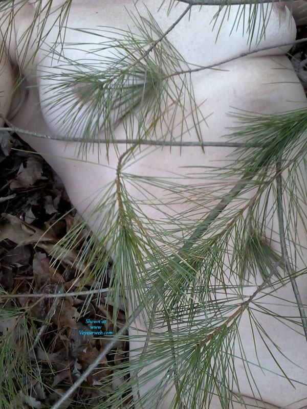 Pic #1 Pine Away - Outdoors, Medium Tits