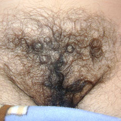 Pic #1 Mi Hairy Wife 28 - Wife/wives, Bush Or Hairy