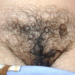 My Hairy Wife - Close-ups, Wife/wives, Bush Or Hairy