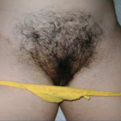 My Hairy Wife - Wife/wives, Bush Or Hairy