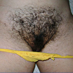 My Hairy Wife - Wife/wives, Bush Or Hairy