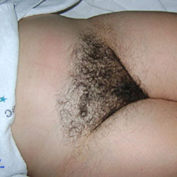 Pic #1 My Hairy Wife - Wife/wives, Bush Or Hairy