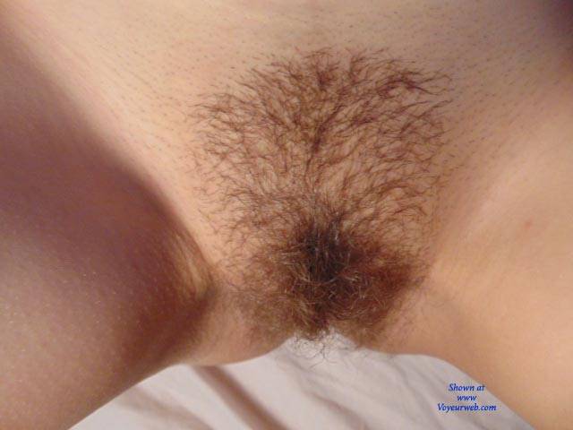 Pic #1 For  Bush Lovers Only - Bush Or Hairy