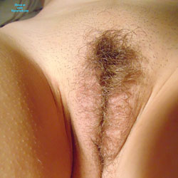 For Bush Lovers Only Part Two - Bush Or Hairy