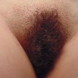 Pic #1 Just For Bush Lovers - Bush Or Hairy