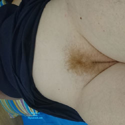 Pic #1 The Bush - Bush Or Hairy