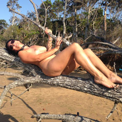 Cougar In A Tree - Beach, Big Tits, Brunette, Outdoors