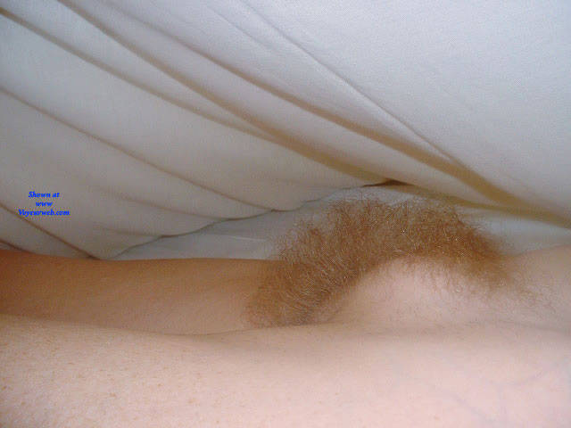 Pic #1 Blonde Bush And Mound - Bush Or Hairy, Close-ups