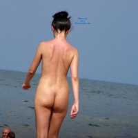 Asses at Several Beaches - Beach