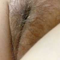 Pussy - Close-ups, Bush Or Hairy