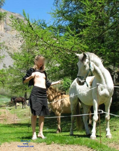 Pic #1 Los Caballos de Sandi - Nature