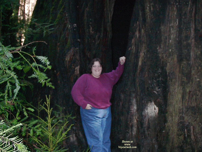 Pic #1 Redwoods