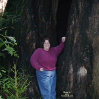 Pic #1 Redwoods