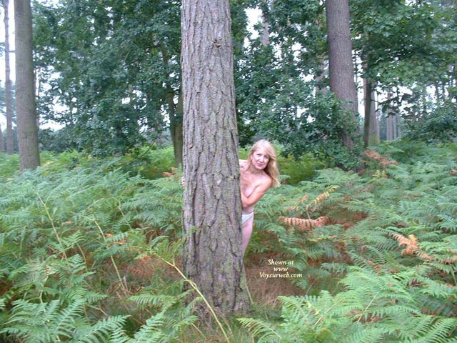 Pic #1 Ann In The Woods