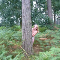 Ann In The Woods