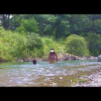 A Clean River In Italy