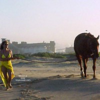 A Day at The Beach