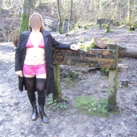 Pic #1 Walk In The Woods