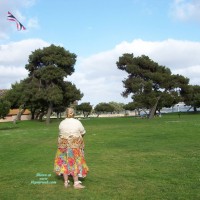 Flying The Kite