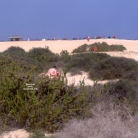 Pic #1 On A Beach Fuerteventura