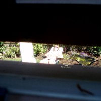 Neighbour Topless In Her Garden