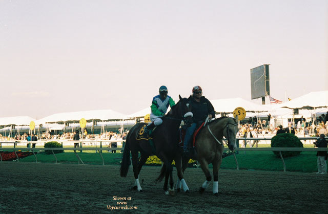 Pic #1 In Memory Of Barbaro