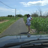 Betty Fait Du Stop